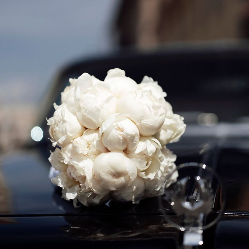 Blumenpracht.Pilnatvės Sodas Gėlių galerija