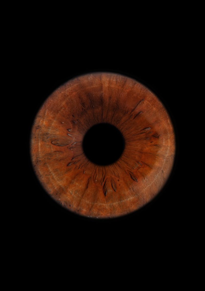 Akių fotografija EYEART #5