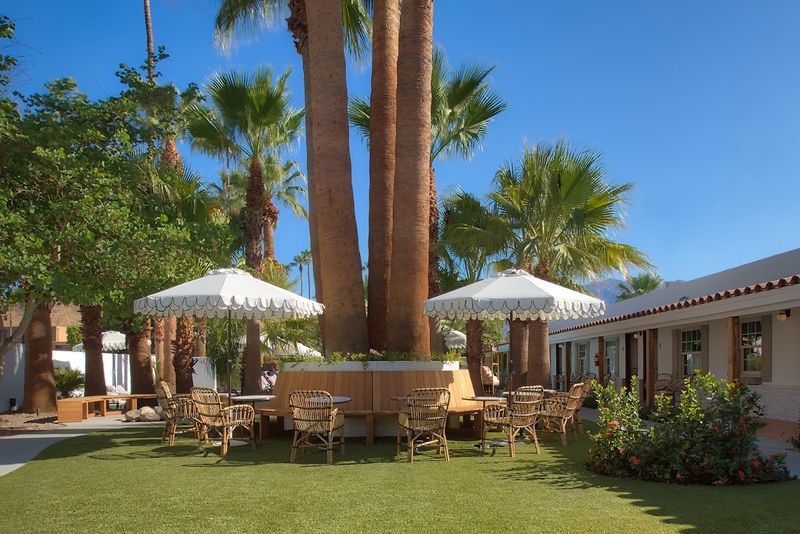 Dive Palm Springs #2