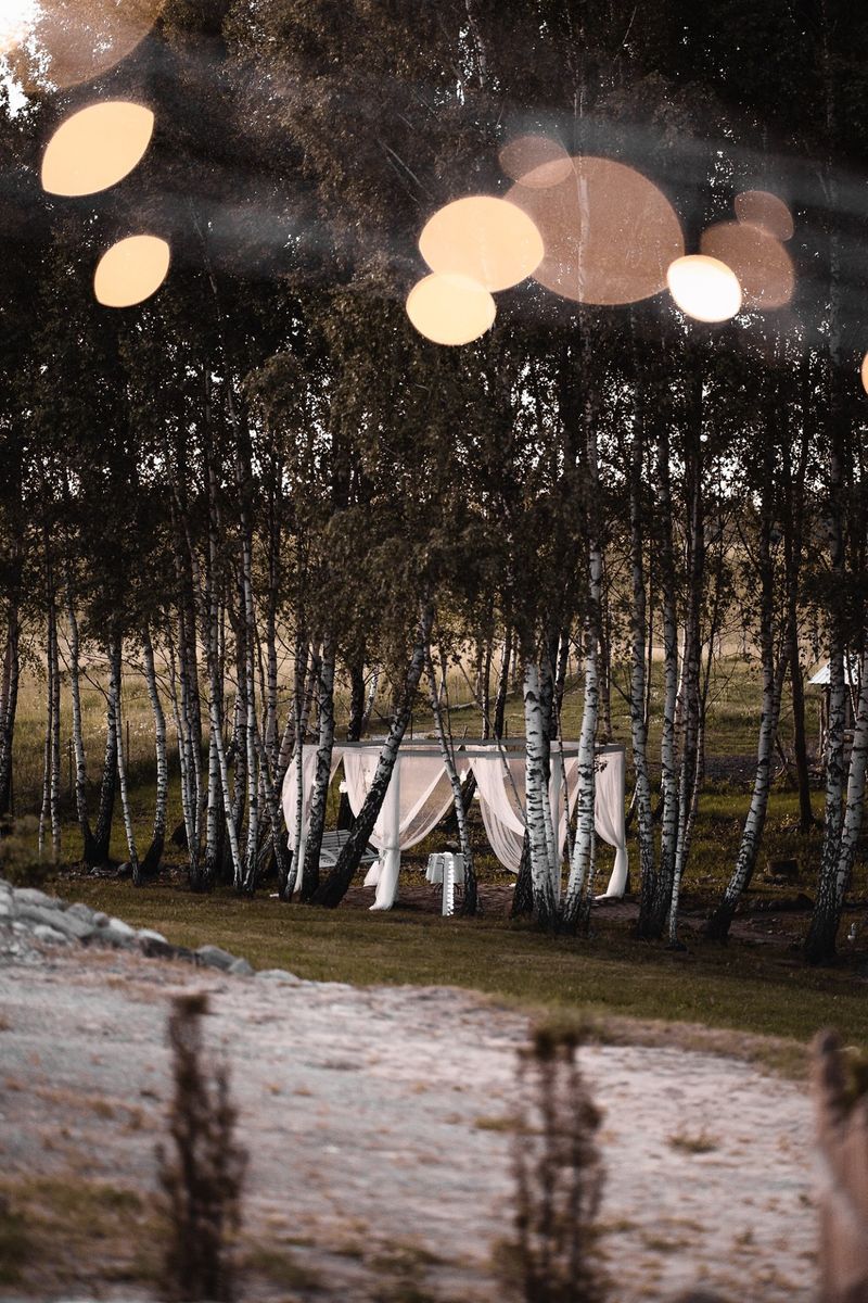 Meda house : pokylio salė #2