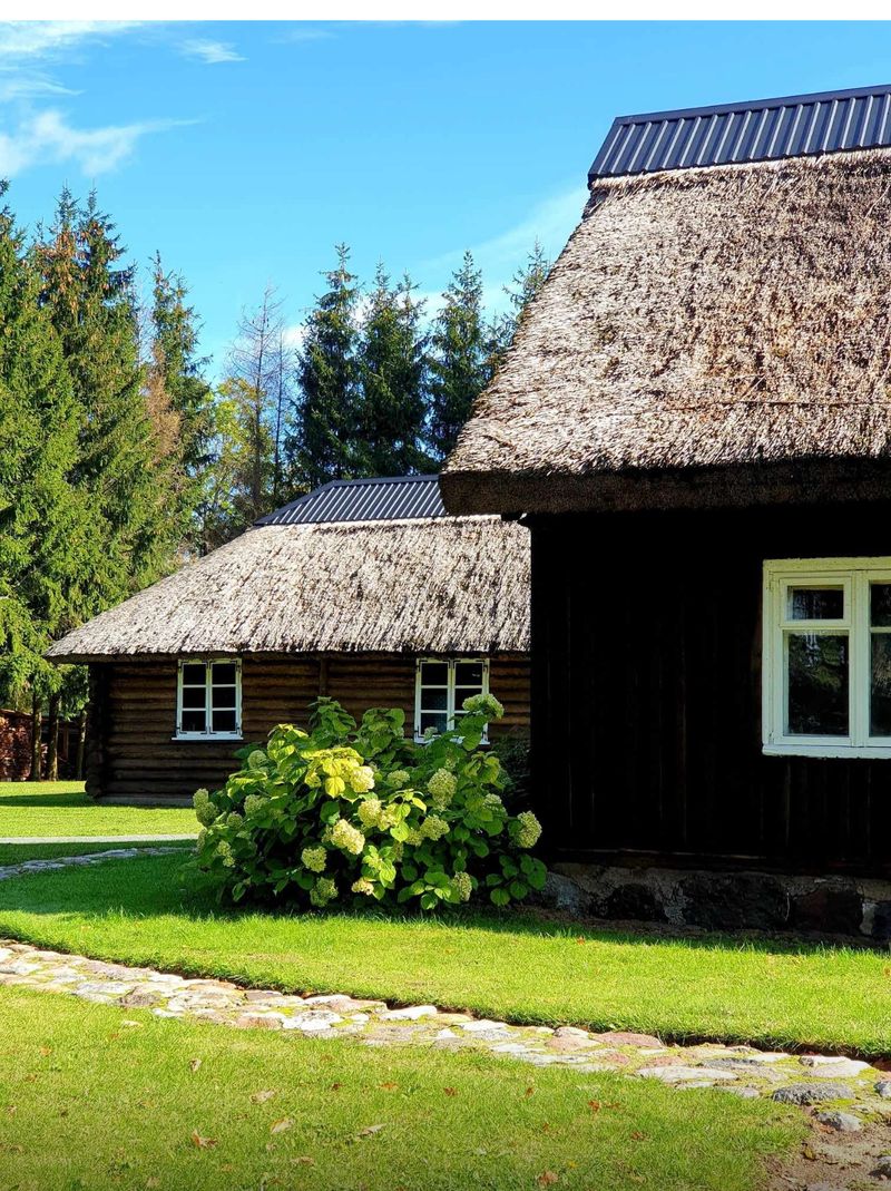 Kisinių sodyba -  Šaulys #3