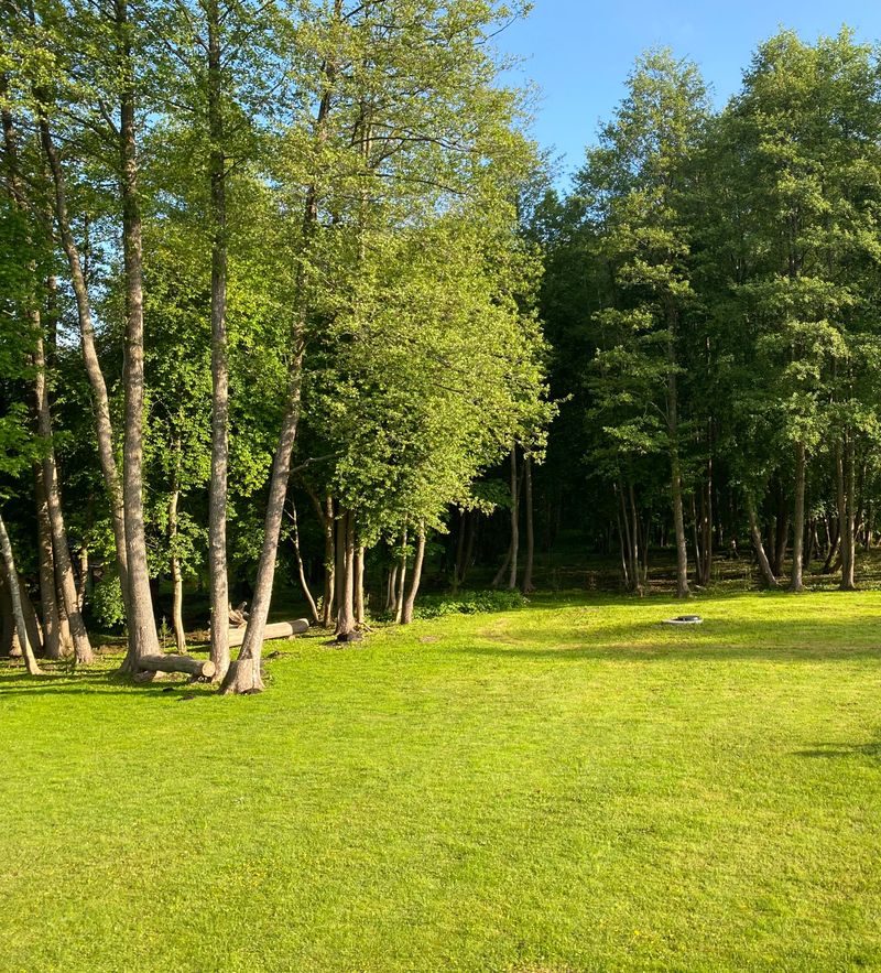 Kisinių sodyba -  Šaulys #5