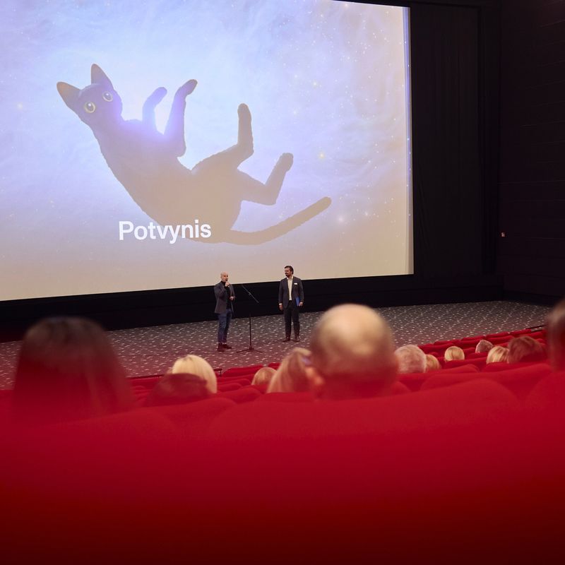 KINO PAVASARIS: LED ekrano nuoma + filmų peržiūros #4