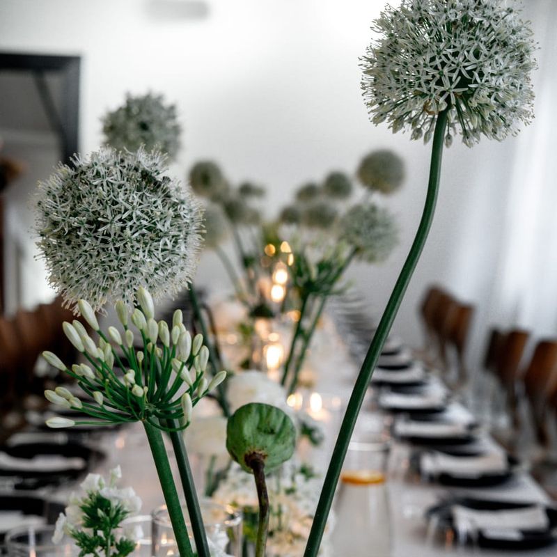 Floristinis Fonas #4