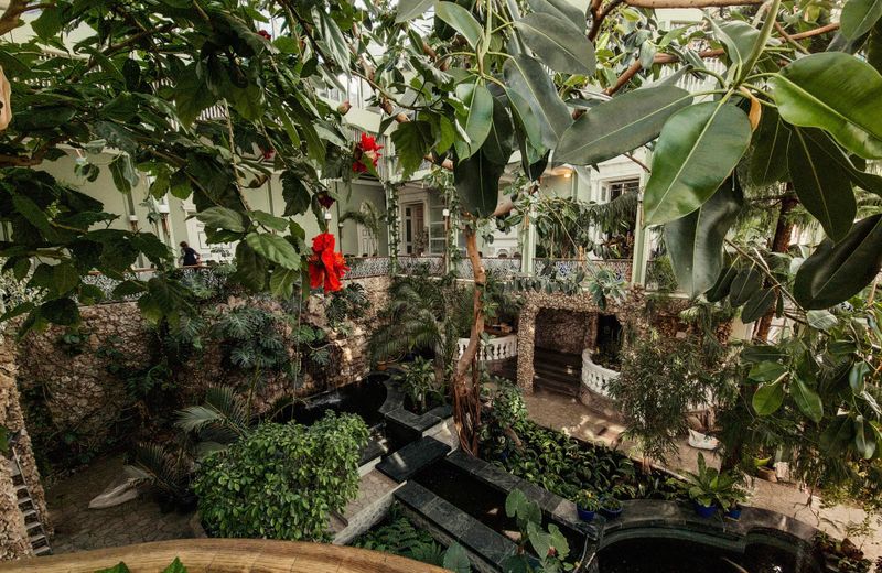 ,,Pas grafą” Žiemos sode 