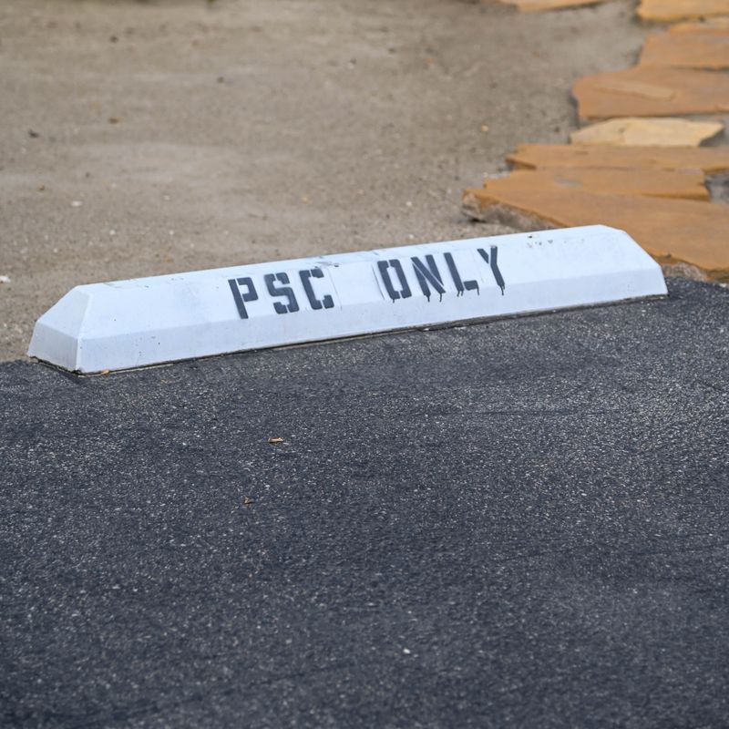 Palm Springs Club #3