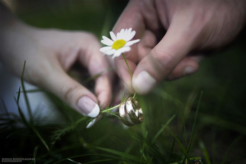 Marius Bendzelauskas Photography #5