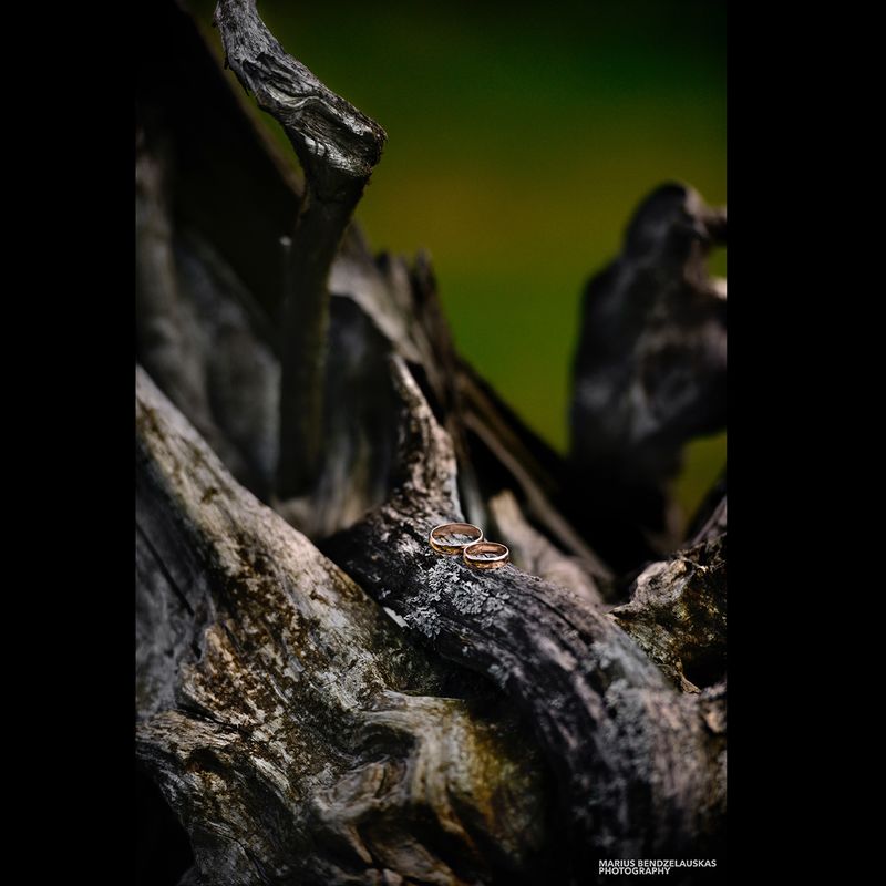 Marius Bendzelauskas Photography #2