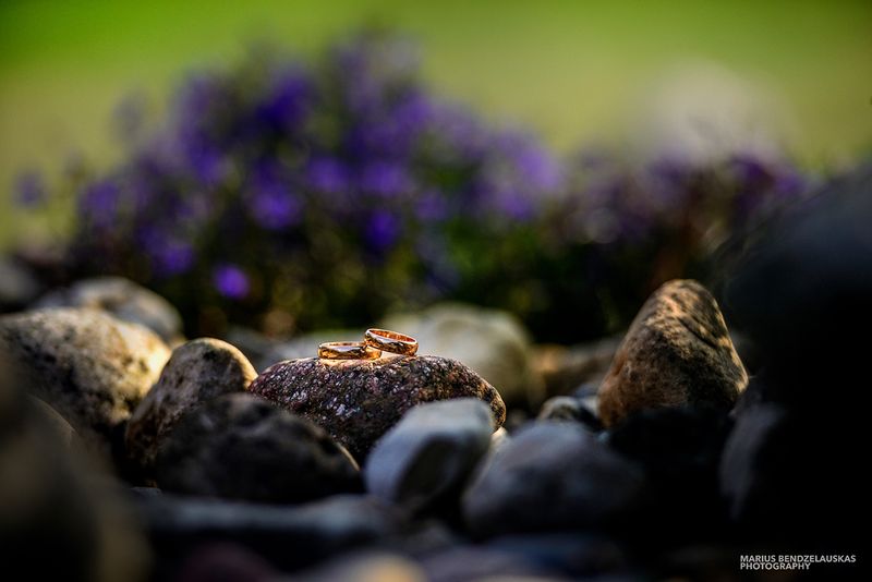 Marius Bendzelauskas Photography #3