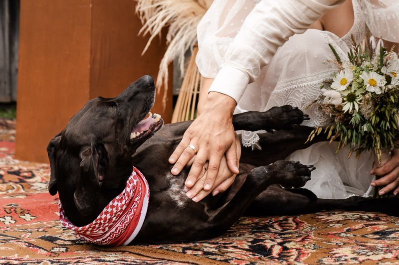 Viktorija Zaveckaitė #3