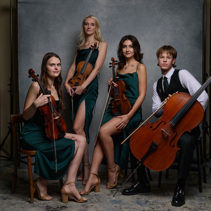 Styginių kvartetas 4strings