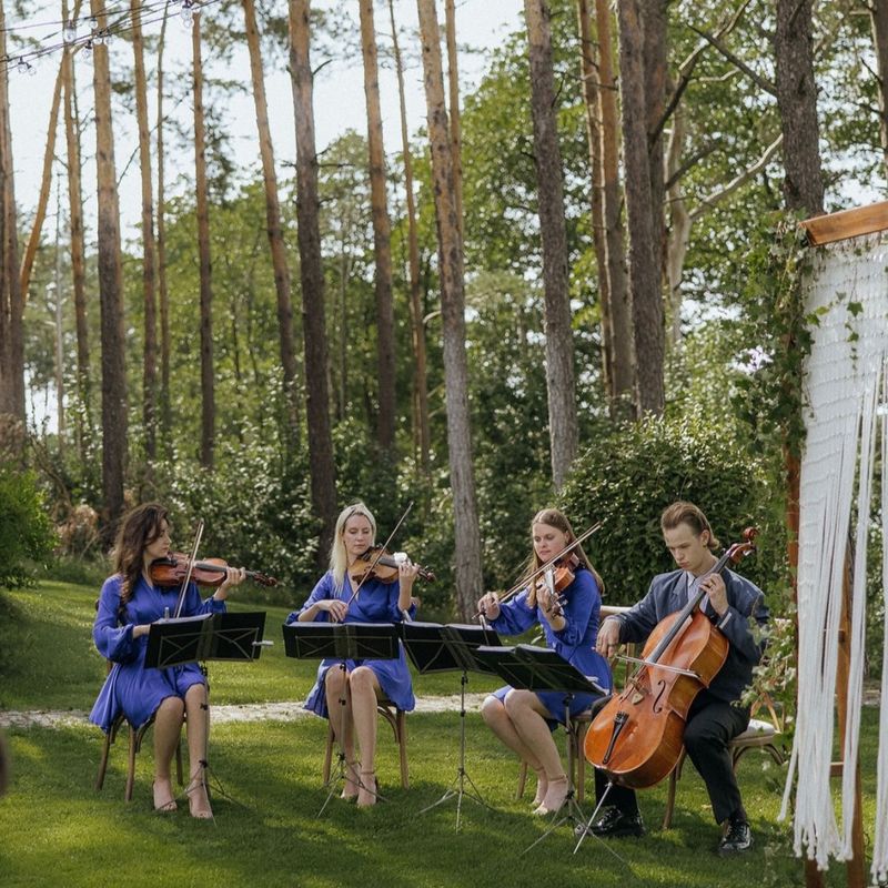 Styginių kvartetas 4strings #2