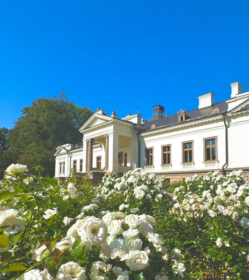 Gelgaudiškio dvaras #4