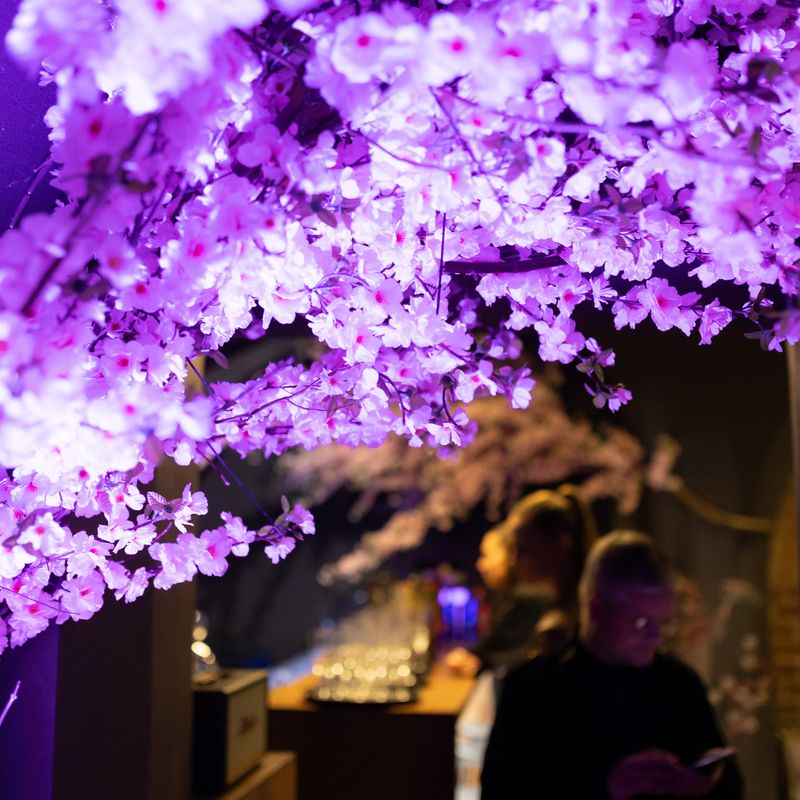 SUSHI Lounge restaurant #3