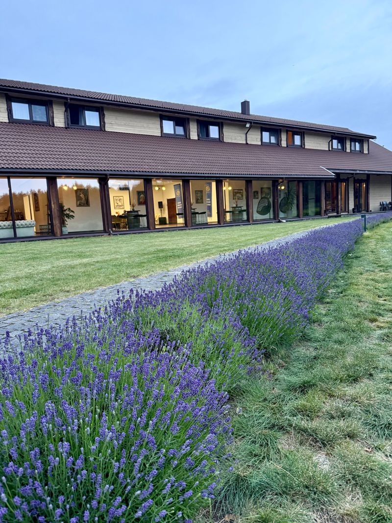 Druskininkėlių sodyba #4