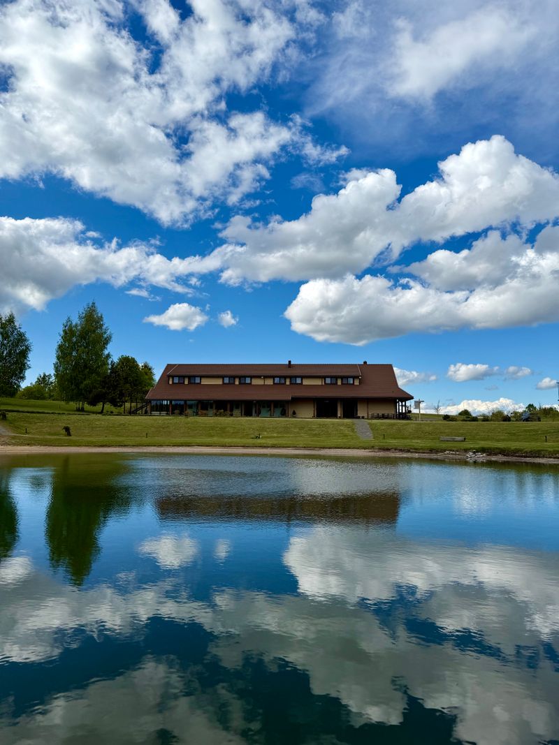 Druskininkėlių sodyba #4