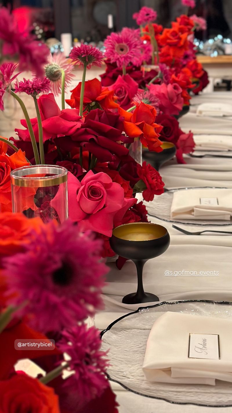 Artistry Bicel Studija #5