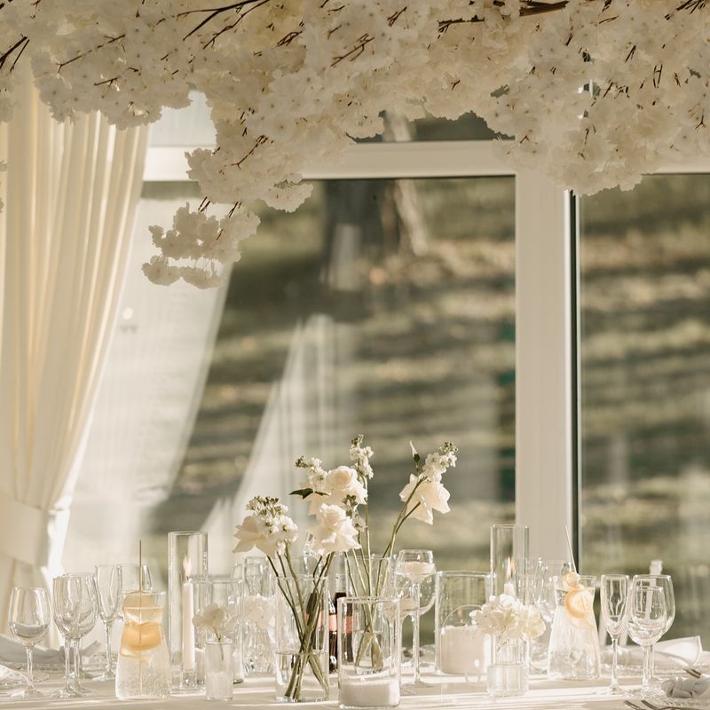 Dzūkijos dvaras - "Nemuno salė" #2