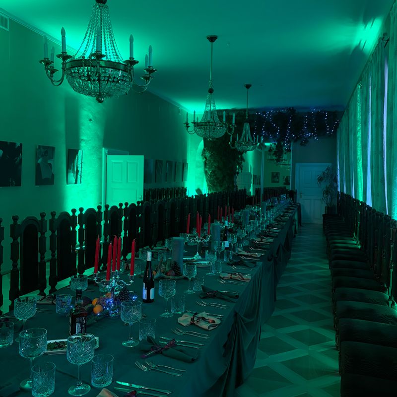 Salų dvaro kultūros ir laisvalaikio rezidencija #2