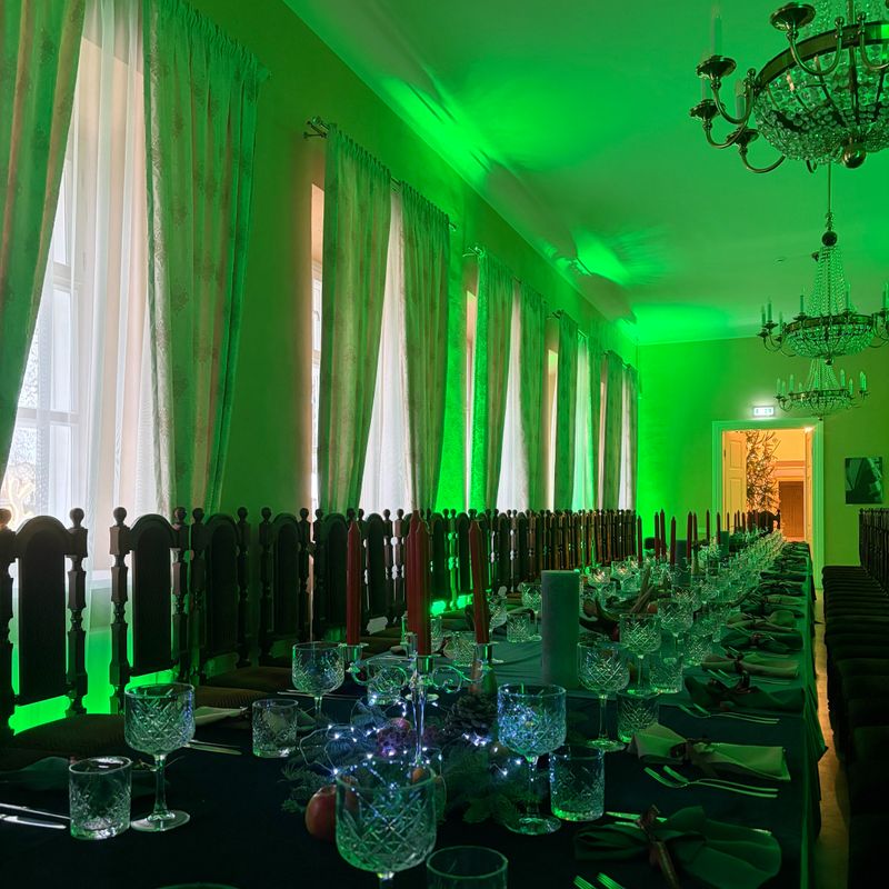 Salų dvaro kultūros ir laisvalaikio rezidencija #4