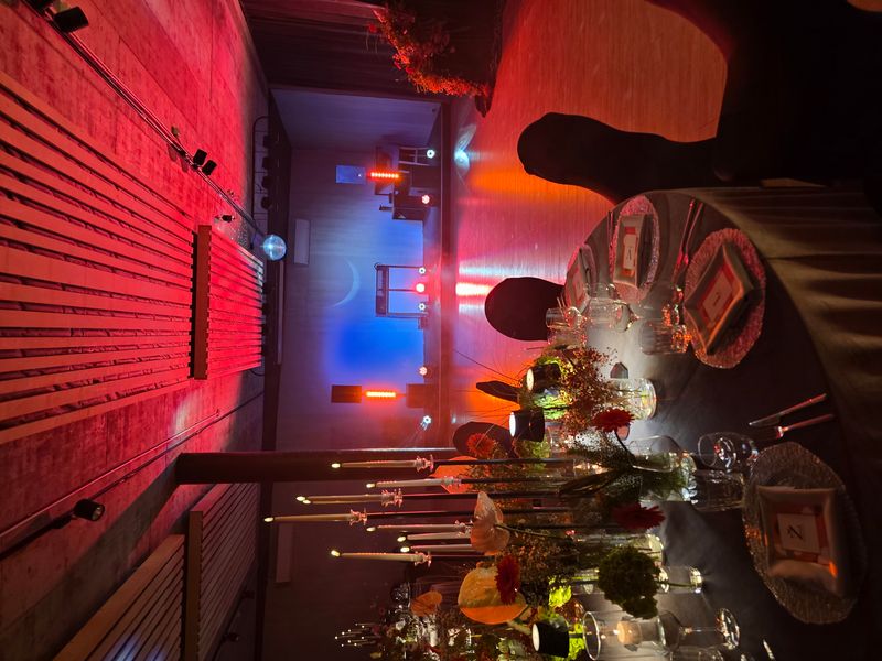 Vedėjas/Dj viename - All inclusive #4