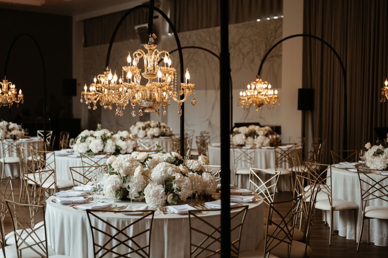 Piktupės slėnis #4