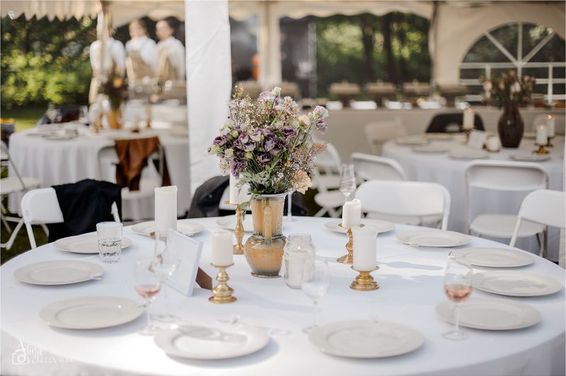 Baltos Palapinės #2