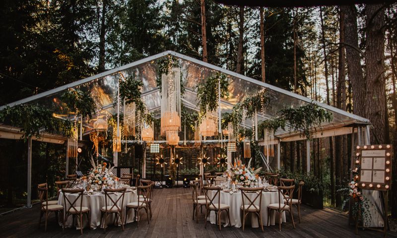 TonyResort: Miško namas