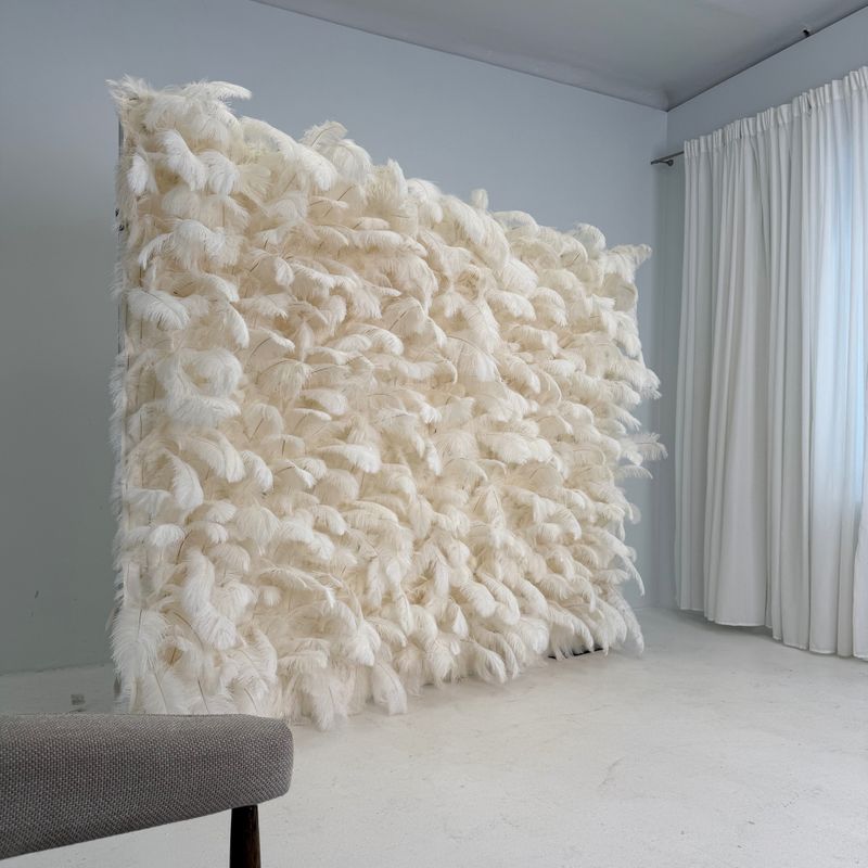 Blisgu - foto sienelių nuoma #2