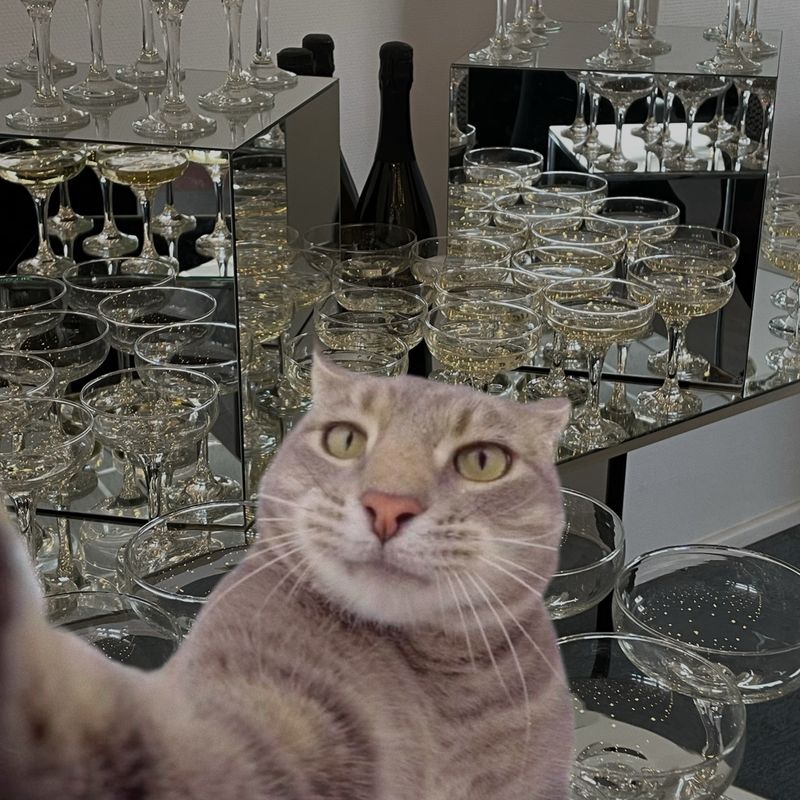 ŠAMPANINIAI VEIDRODŽIAI