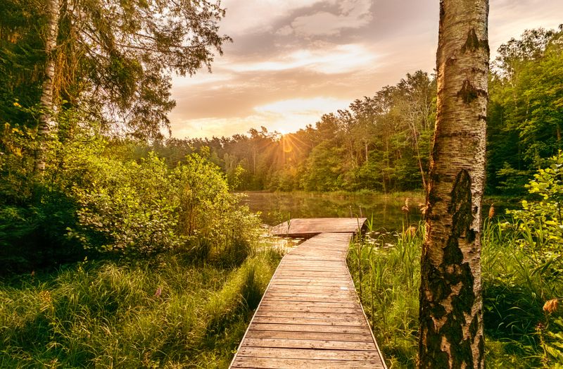 Miško sodyba su ežero panorama Vilniuje #4