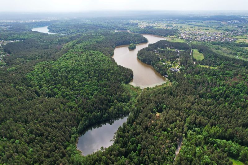 Miško sodyba prie ežero Gulbinuose