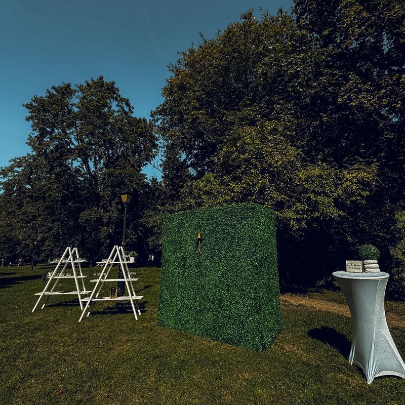 Burbuliukai gyvai #4