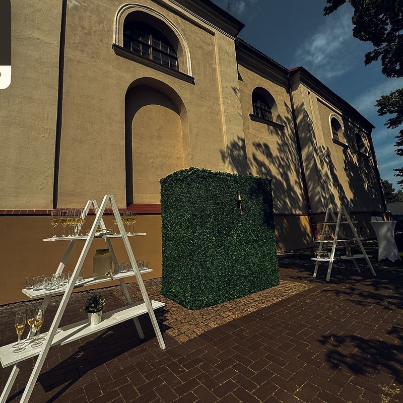 Burbuliukai gyvai #5