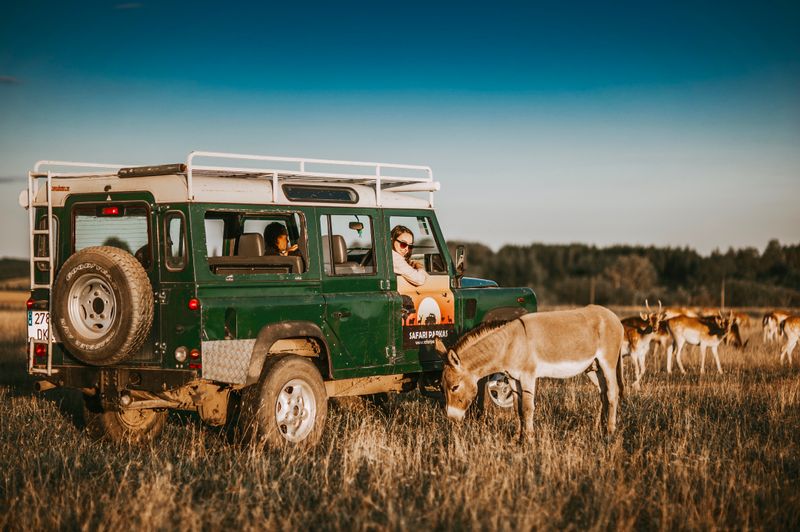 Summer Oak Valley/ Safari parkas, Anykščiai #4