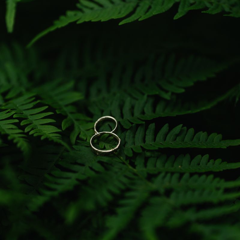 Vidurnakčio saulė - koordinavimas