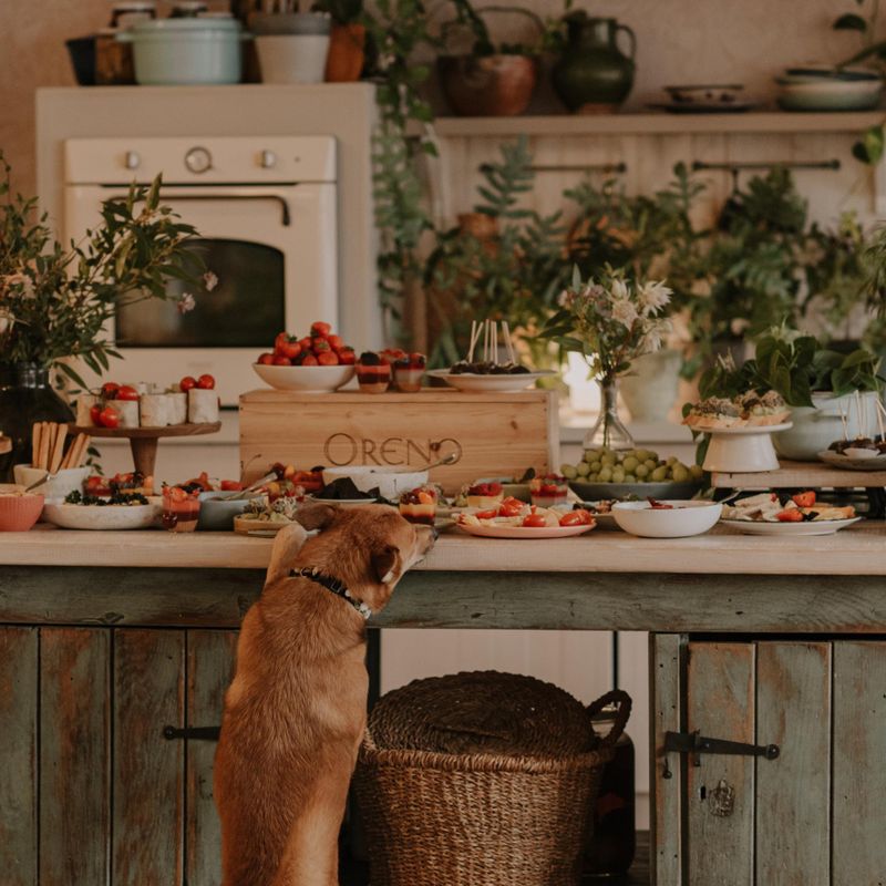 Beatos virtuvės studija #2