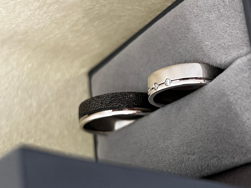 Auksinė svajonė #5