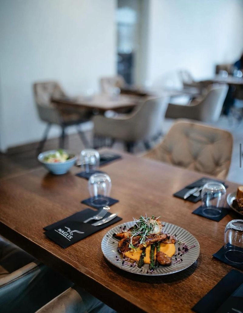 Naglis sakė, kad nelis #2