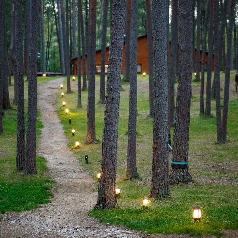 Asvejos poilsiavietė #3