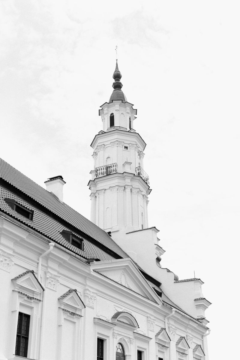 mnaruskevic  #2