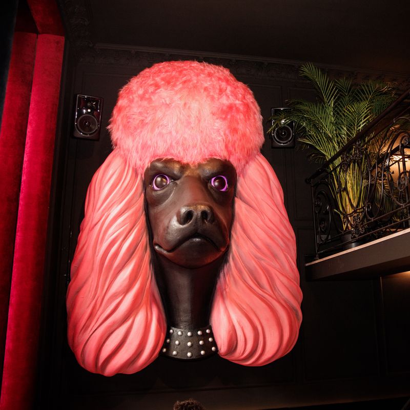 PINK POODLE BAR VILNIUS 
