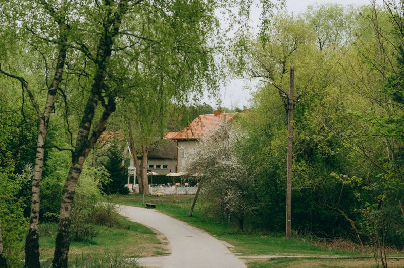 Kavinė Vasara #4