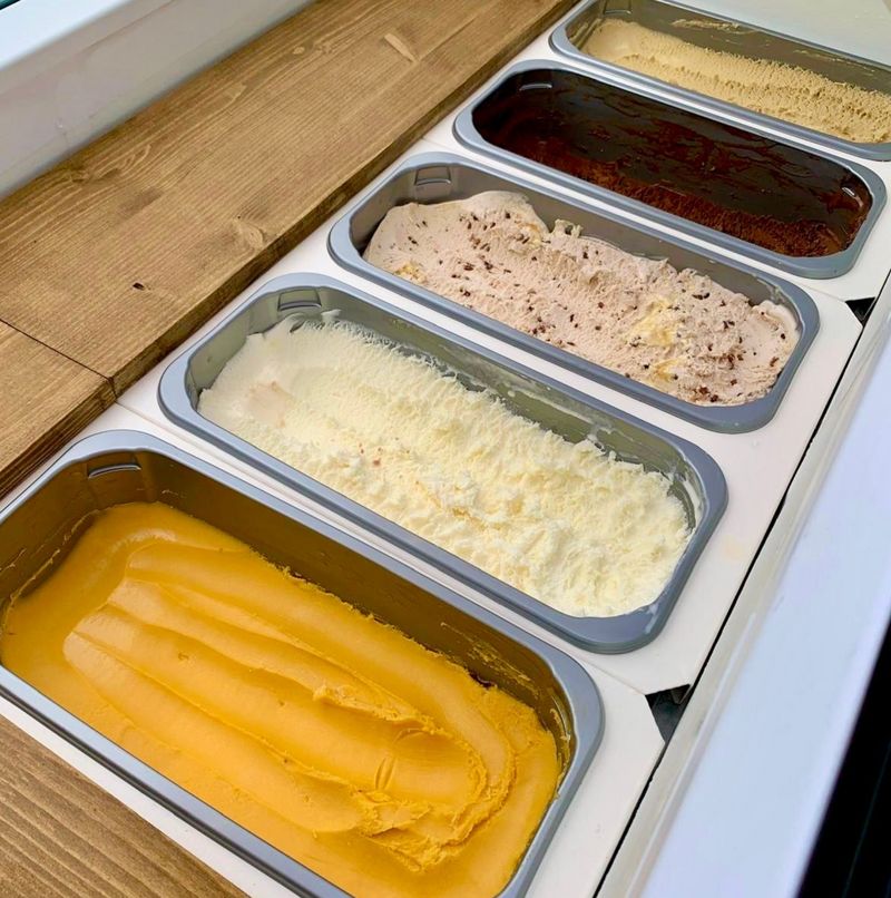 🦊 Lapės ledai jūsų šventėje! 🍦 #2