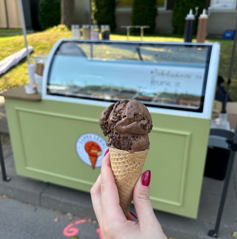 🦊 Lapės ledai jūsų šventėje! 🍦 #3