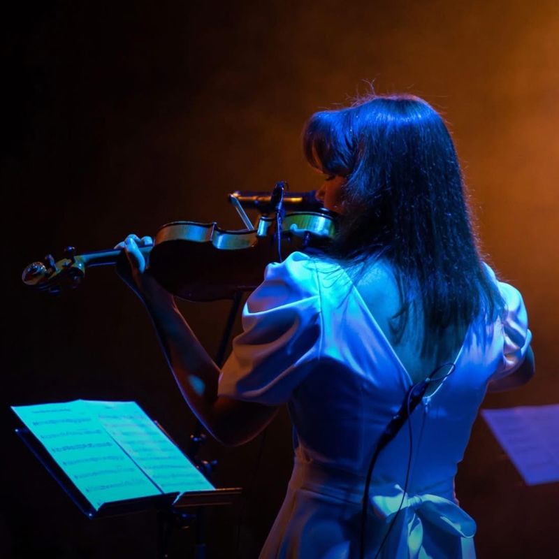 Smuiko muzika