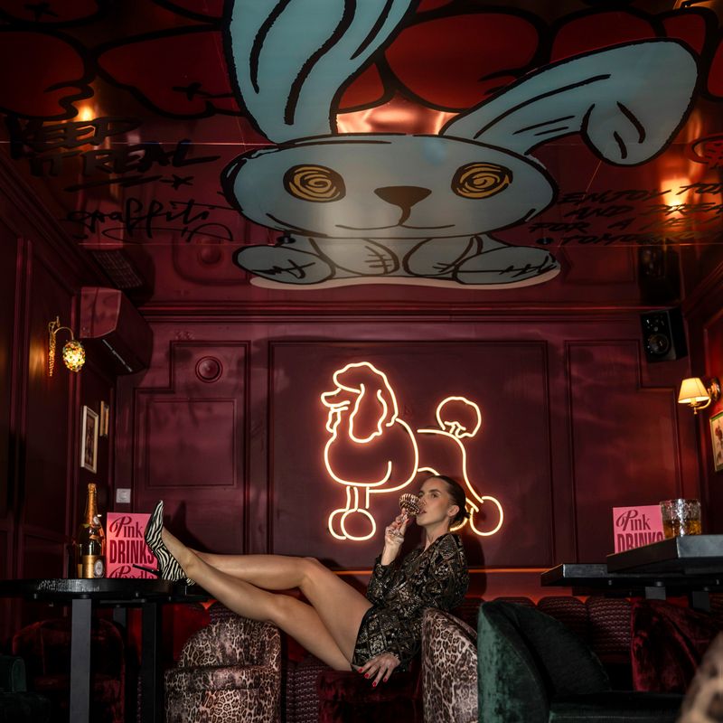 PINK POODLE BAR VILNIUS 